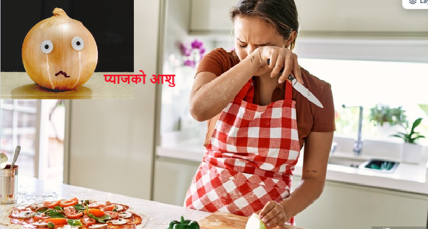 भदौ लागे यता लगातार बढेको प्याजको मूल्य ३ सातामै ५३% ले महँगियो, थोक मै ९८ रुपैयाँ, किन बढ्यो मूल्य ?